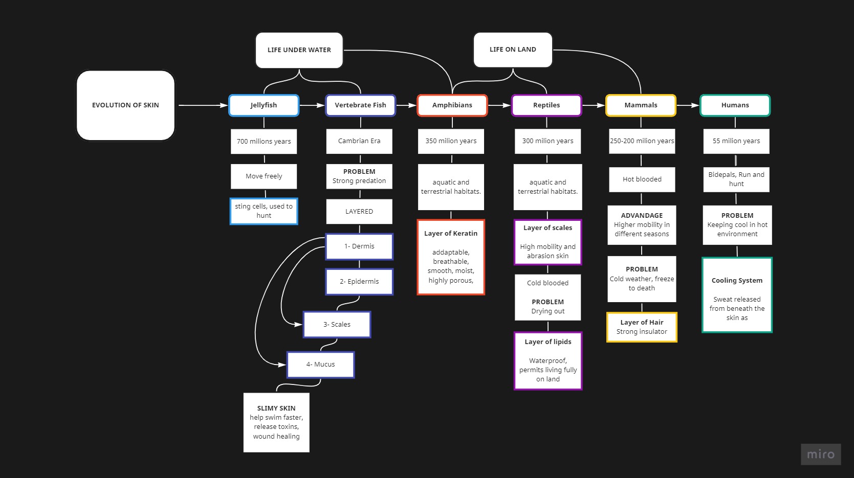 UX-of-Skin_-Evolution