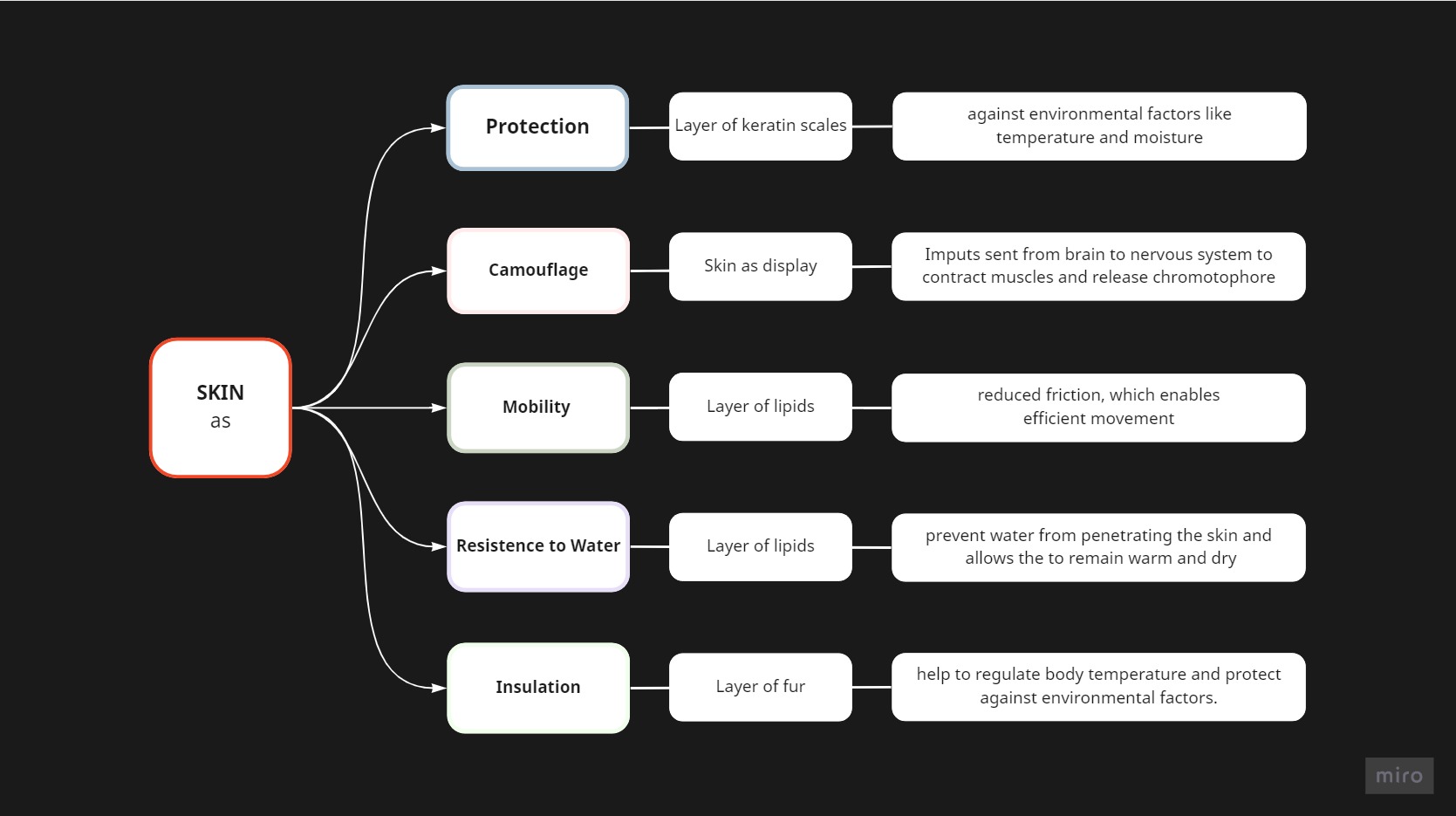 UX-of-Skin_-Functions